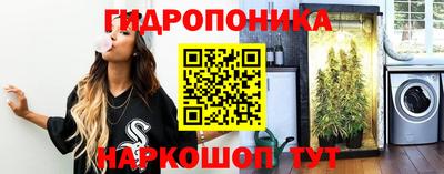 дмт Кинель
