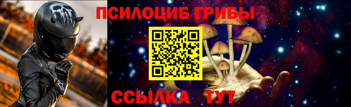 Псилоцибиновые грибы MAGIC MUSHROOMS  Вход с VPN  Псилоцибиновые грибы мицелий  дарнет шоп  Будённовск 